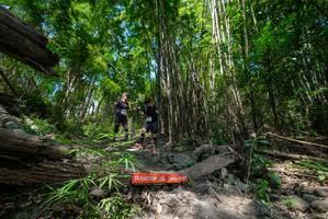 BIB: 
                            <button type="button" onclick="openModal(19394270)" class="btn btn-primary btn-sm float-right btn-popup" data-toggle="modal" data-target=".modal-high-quality">
                        <i class="fas fa-shopping-cart"></i> Add to Cart
                    </button>
                                            <button type="button" onclick="isThisMe(19394270, true)" class="btn btn-success btn-sm float-right btn-popup btn-isme hidden" data-toggle="tooltip" data-placement="bottom" title="นี่คือรูปของคุณใช่ไหม คลิกที่นี่เพื่อเอาเข้าอัลบั้ม">
                        <i class="fas fa-plus"></i> Add to album
                    </button>
                    <button type="button" onclick="isThisMe(19394270, false)" class="btn btn-warning btn-sm float-right btn-popup btn-isnotme hidden">
                        <i class="fas fa-ban"></i> Remove from album
                    </button>